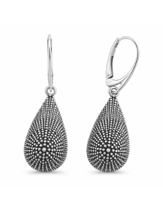 Silver earrings K2 1698