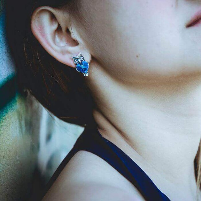 Silver earrings with crystals OWL K3 1702